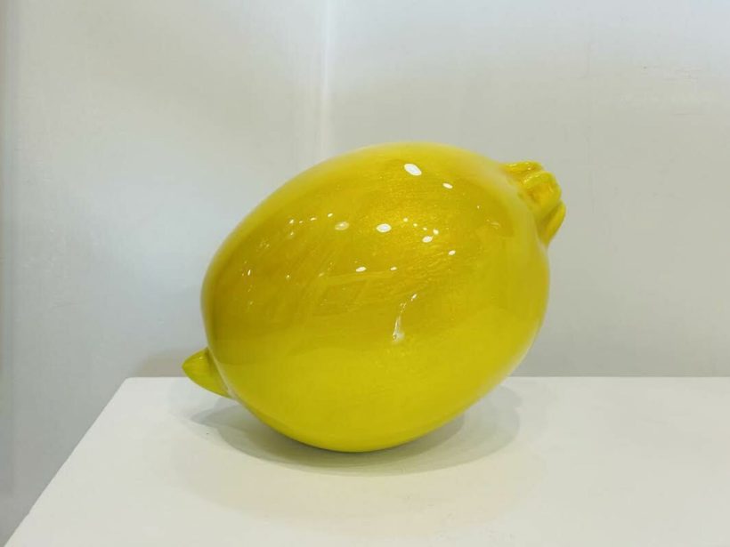 LIFE"S LEMON